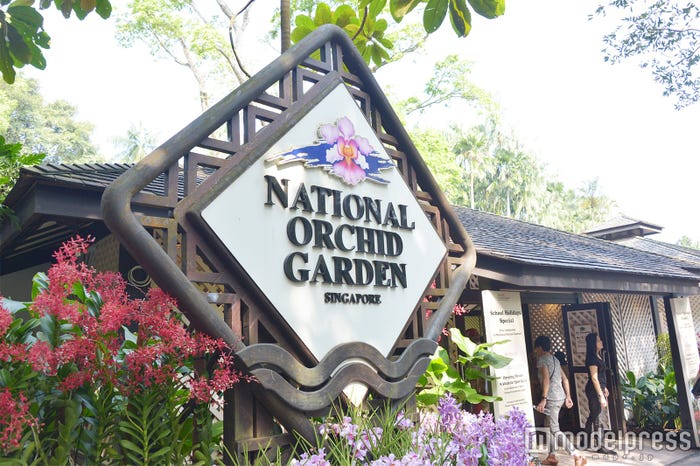 シンガポール植物園 (C)モデルプレス