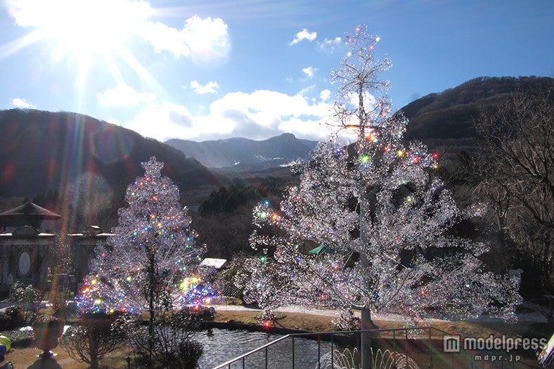 ガラスのクリスマスツリー「ラ・コッピア」<br>
／画像提供：小田急箱根グループ