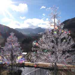 ガラスのクリスマスツリー「ラ・コッピア」／画像提供：小田急箱根グループ