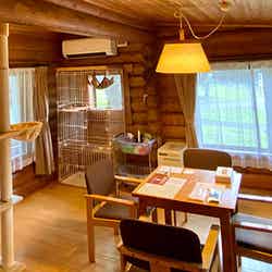 キャットコテージ/画像提供:プリンスホテル