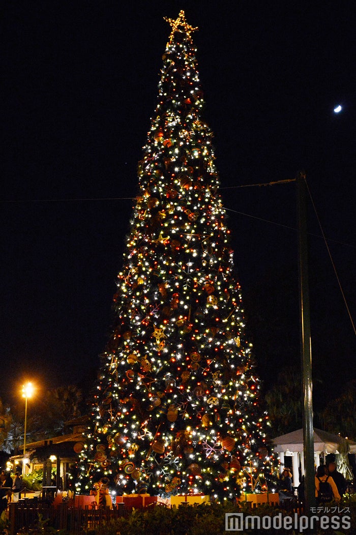 可愛すぎるチップ デール シマリスザウルス がクリスマス仕様に 開園年 ディズニー アニマルキングダム ホリデーセレブレーションに初参加 モデルプレス