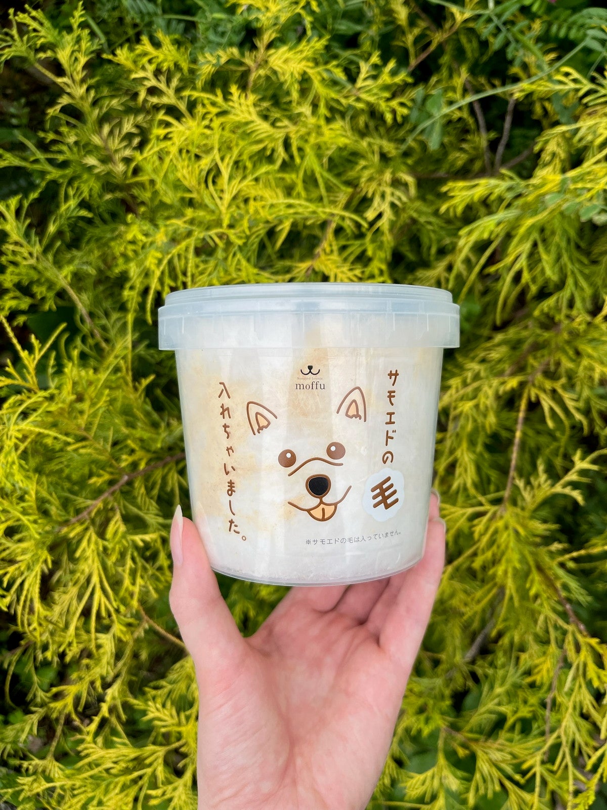 Samoyed Lounge moffu／提供画像