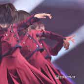 欅坂46森田ひかる 黒い羊 でセンター抜擢 Cdtv モデルプレス 欅坂46森田ひかる 黒い羊 でセンター抜擢 Cdtv モデルプレス