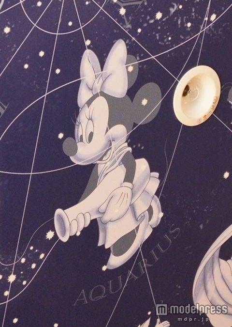 水瓶座(ミニーマウス)