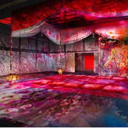 KYOTO NIPPON FESTIVAL 2026 -時をこえ、華ひらく庭-/提供写真