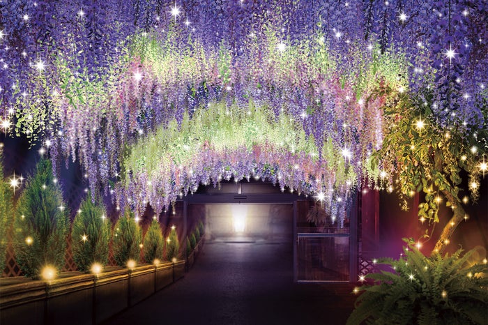 藤棚／画像提供：東京サマーランド