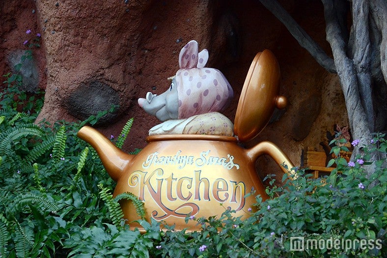 グランマ・サラのキッチン（C）モデルプレス