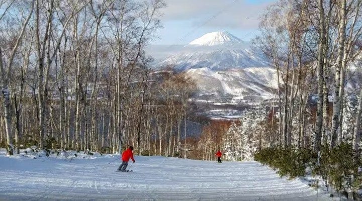 コース正面には羊蹄山の勇姿が　　