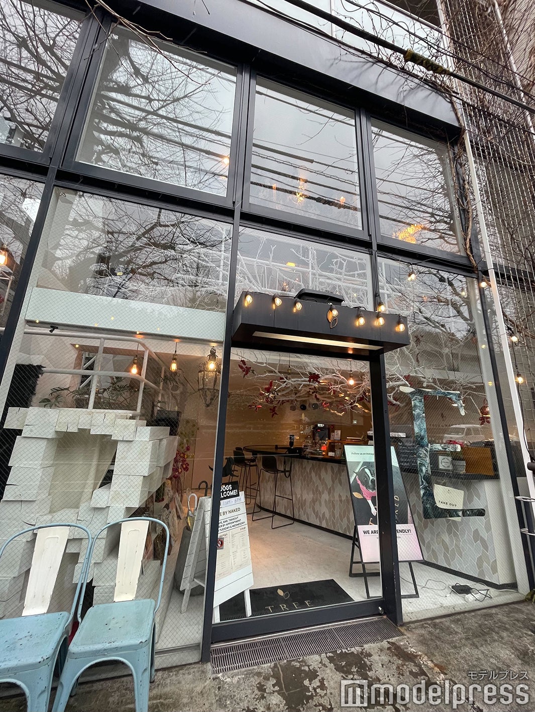 TREE by NAKED yoyogi park（C）モデルプレス