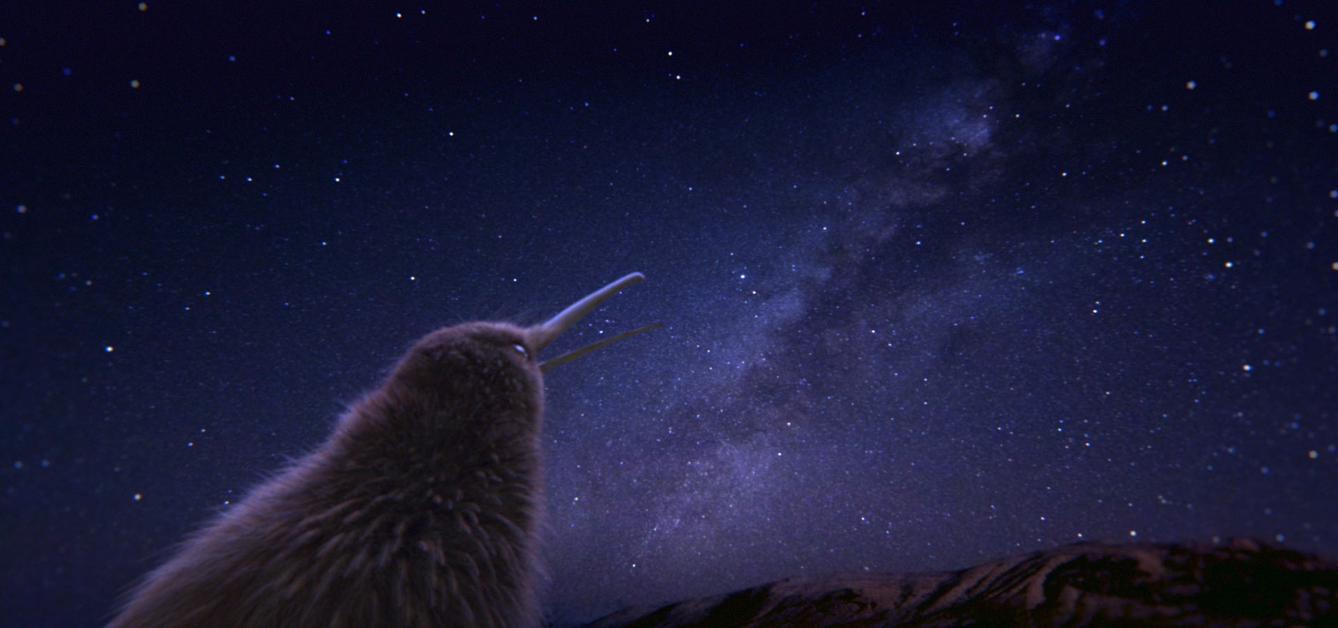 ピートも見惚れるテカポの星空（提供写真）