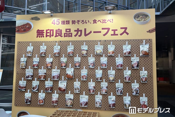 45種類のカレーが展示(C)モデルプレス