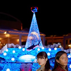 聖南 大輝カップルも絶賛 きらめく夜の海中クリスマスデートでラブラブぶり発揮 モデルプレス