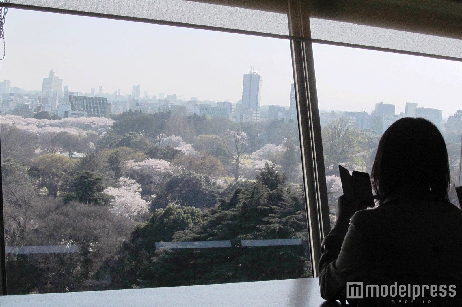 満開の桜が見えるモスバーガー、東京＆大阪のおすすめ店舗5選