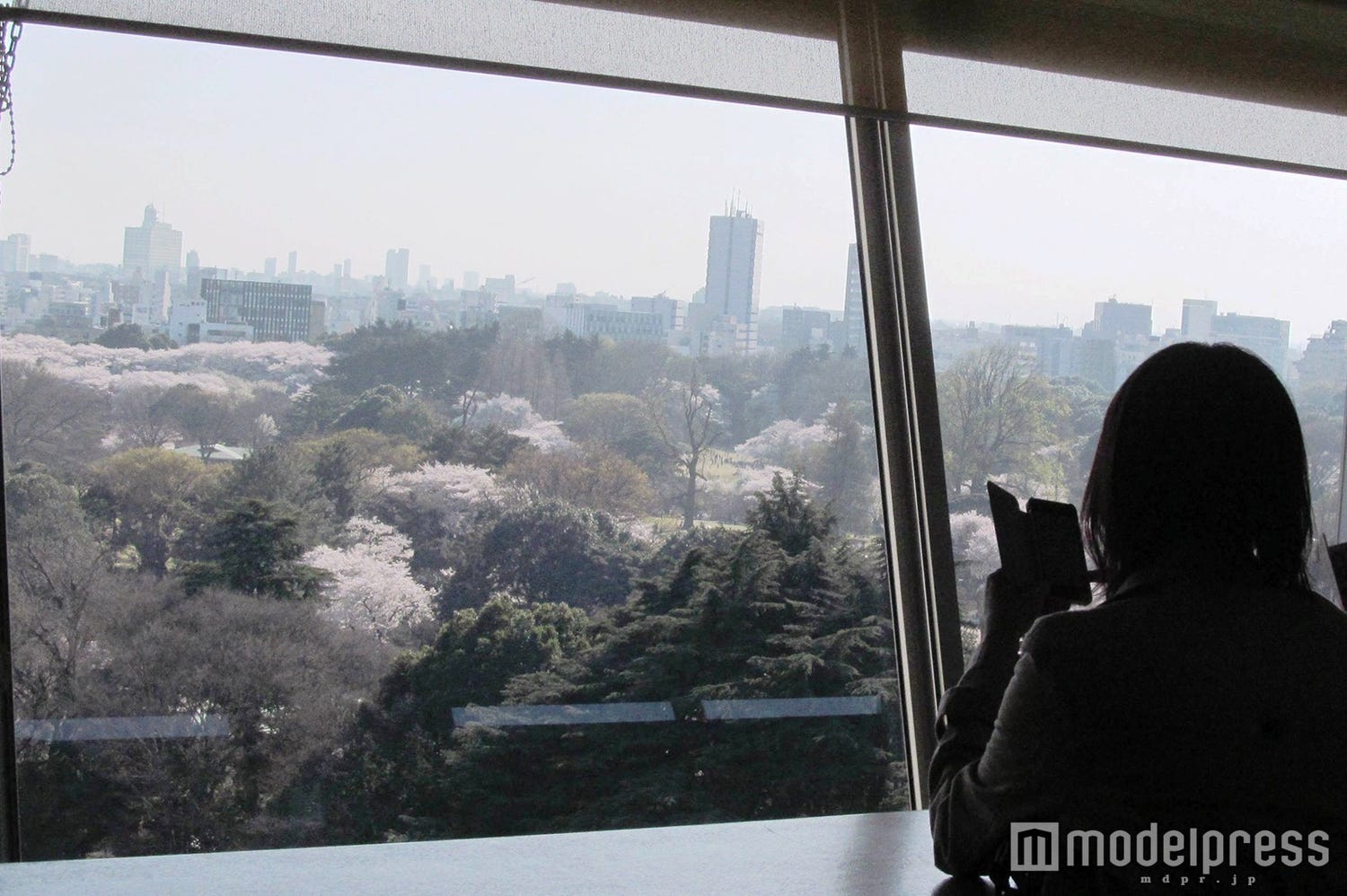 満開の桜が見えるモスバーガー、東京&大阪のおすすめ店舗5選