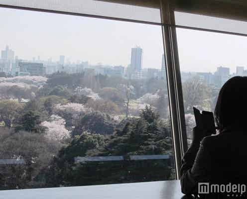 満開の桜が見えるモスバーガー、東京&大阪のおすすめ店舗5選