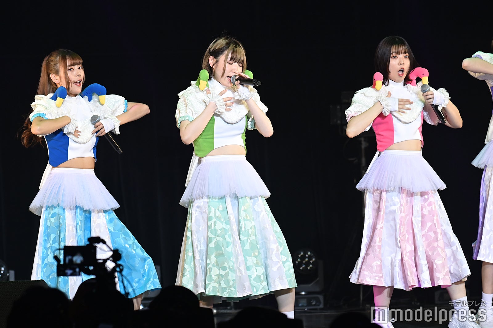 豆柴の大群（C）モデルプレス