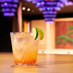 アートアクアリウム美術館/画像提供:アートアクアリウム製作委員会