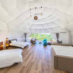 ほけだけグランピング~和泉の毬花~/提供画像