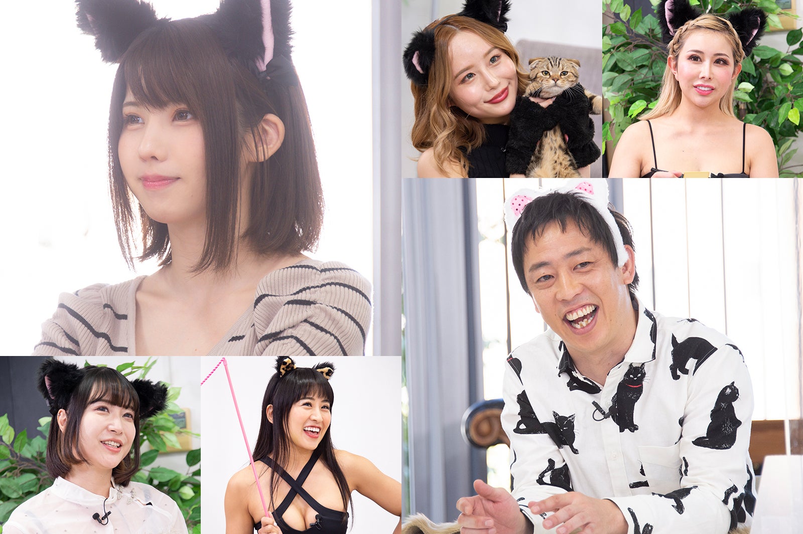 「ミーグラム」連携の地上波TV番組への出演チャンス　えなこ×さらば森田MC「猫しか勝たん」で第2弾企画スタート