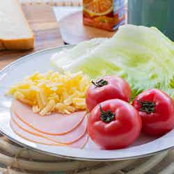 ほけだけグランピング~和泉の毬花~/提供画像