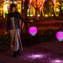 夜歩きアート県庁NAKED GARDEN SAGA/画像提供:ネイキッド