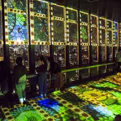 FIREWORKS & STARLIGHT SHOW/画像提供:東京タワー