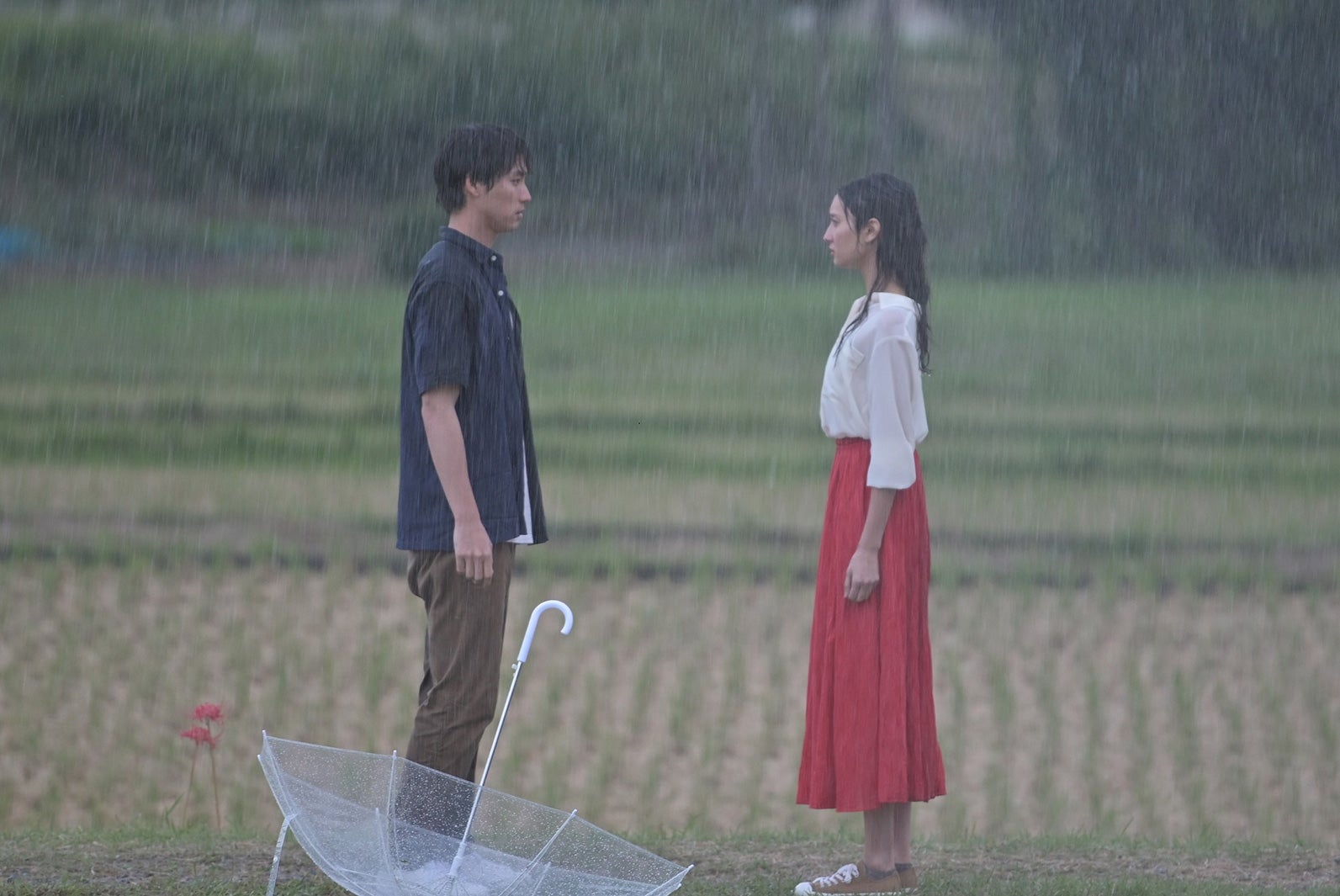 福士蒼汰、菜々緒（C）TBS