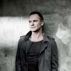 スティング(Sting)