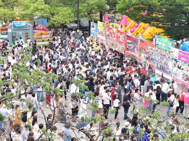 column_3f1a6e3bf0b69f701e54fc1ac0522119.