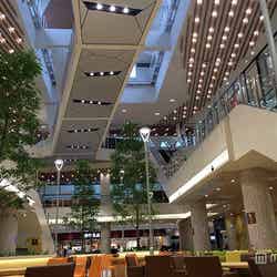 フードコート、森のダイニング