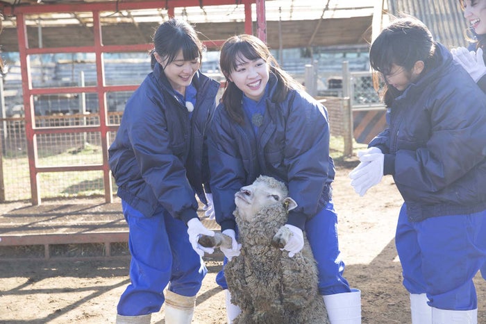 番組の様子(写真提供:NHK)