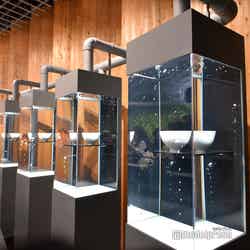 日本館(C)モデルプレス