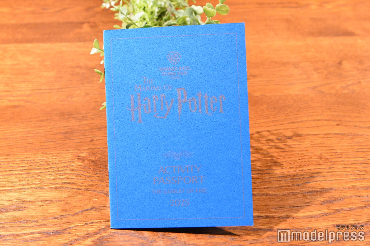 炎のゴブレット／ワーナー ブラザース スタジオツアー東京 – メイキング・オブ・ハリー・ポッター（C）モデルプレス