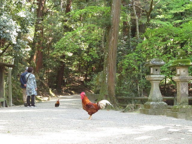 石上神宮