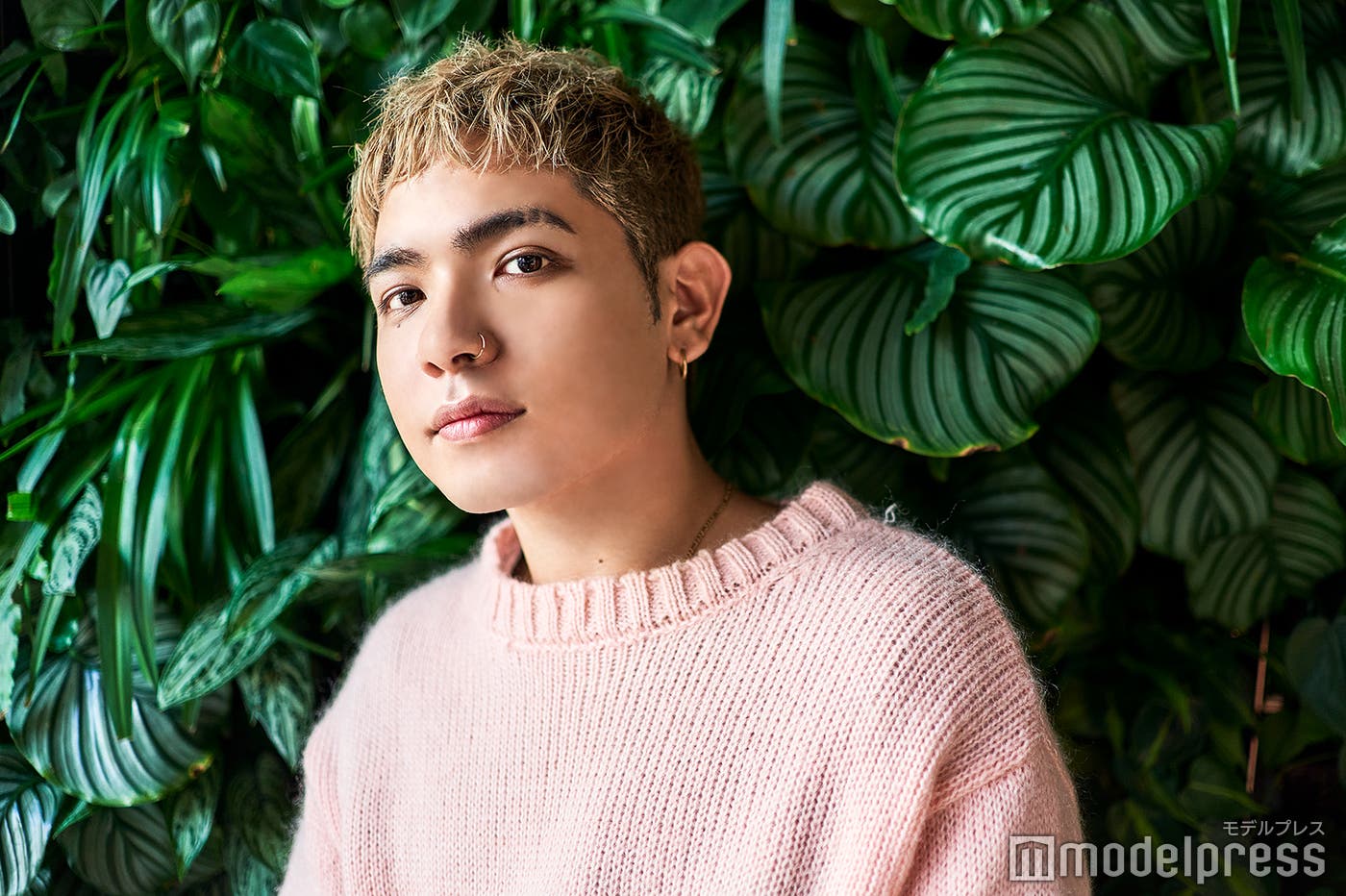 Rude-α(C)モデルプレス