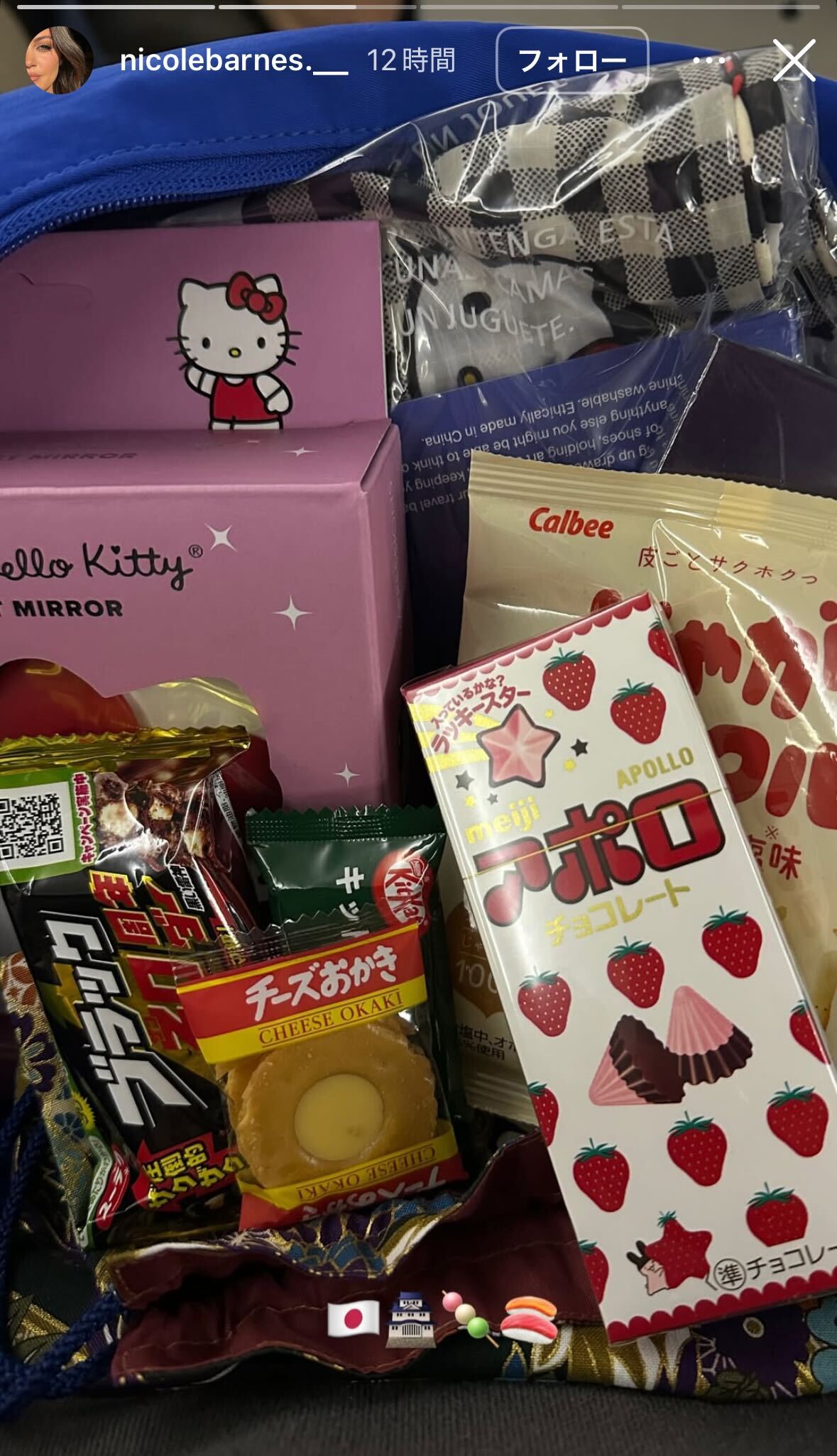 ニコル夫人Instagramストーリーズより