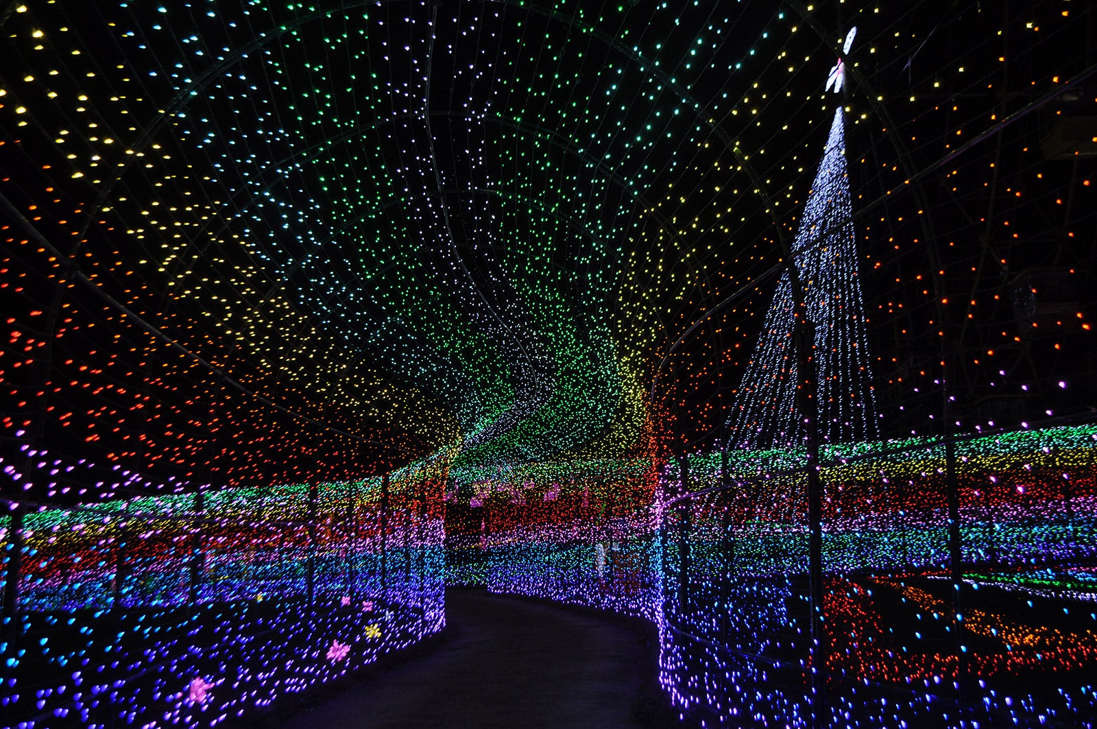 「東京ドイツ村ウインターイルミネーション 2017-2018」／画像提供：東京ドイツ村