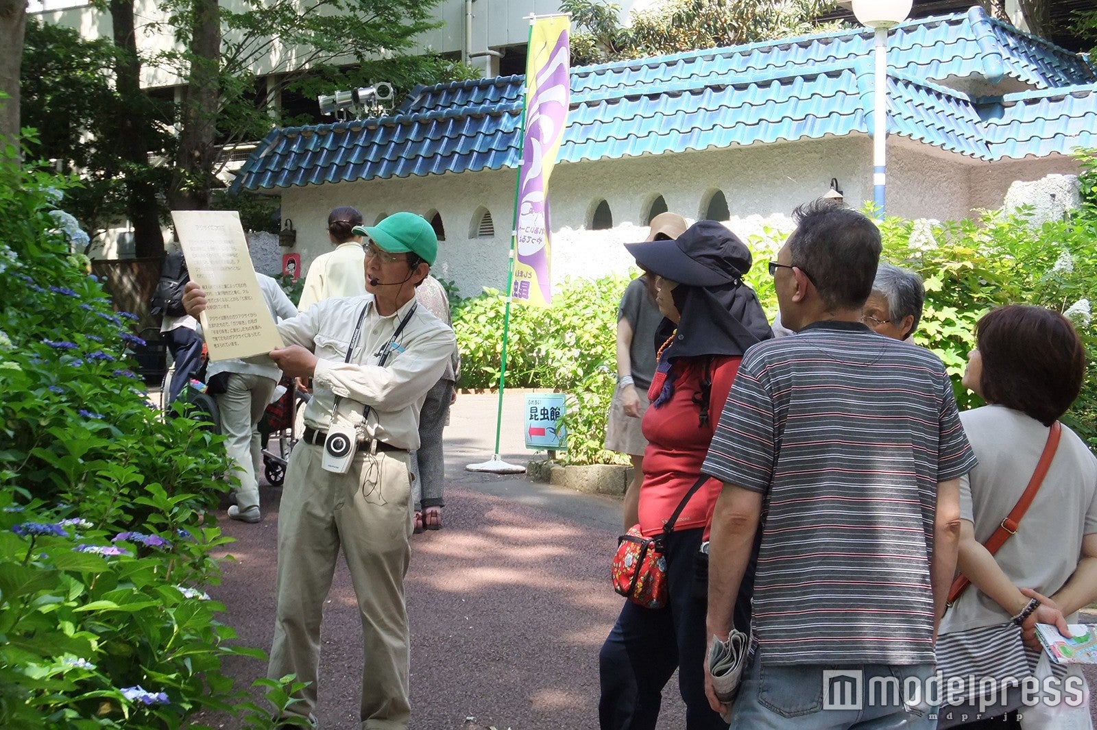 あじさい園ガイドツアー※毎週月・金曜日／画像提供：としまえん