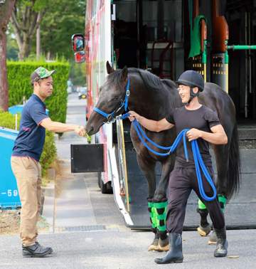 ロブチェン 始動戦の神戸新聞杯へ栗東帰厩 用意されたカイバをぺろり 房野助手「原動力、体の強さを感じる平たい背中です」