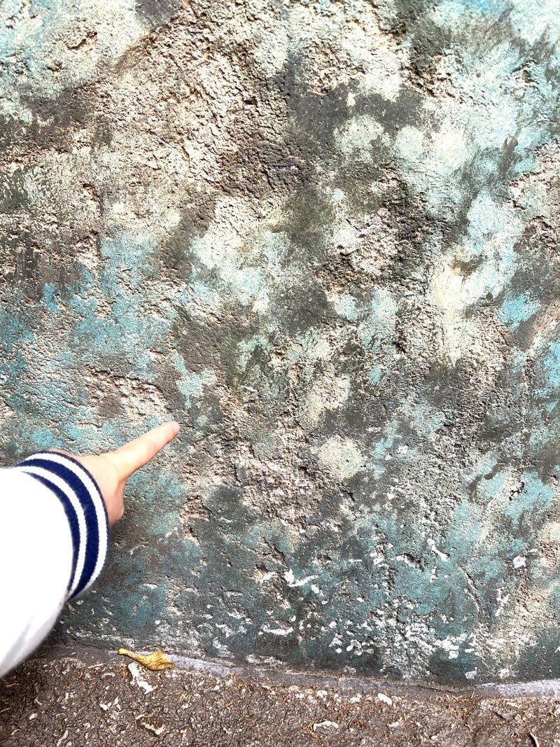 東貴博公式ブログより