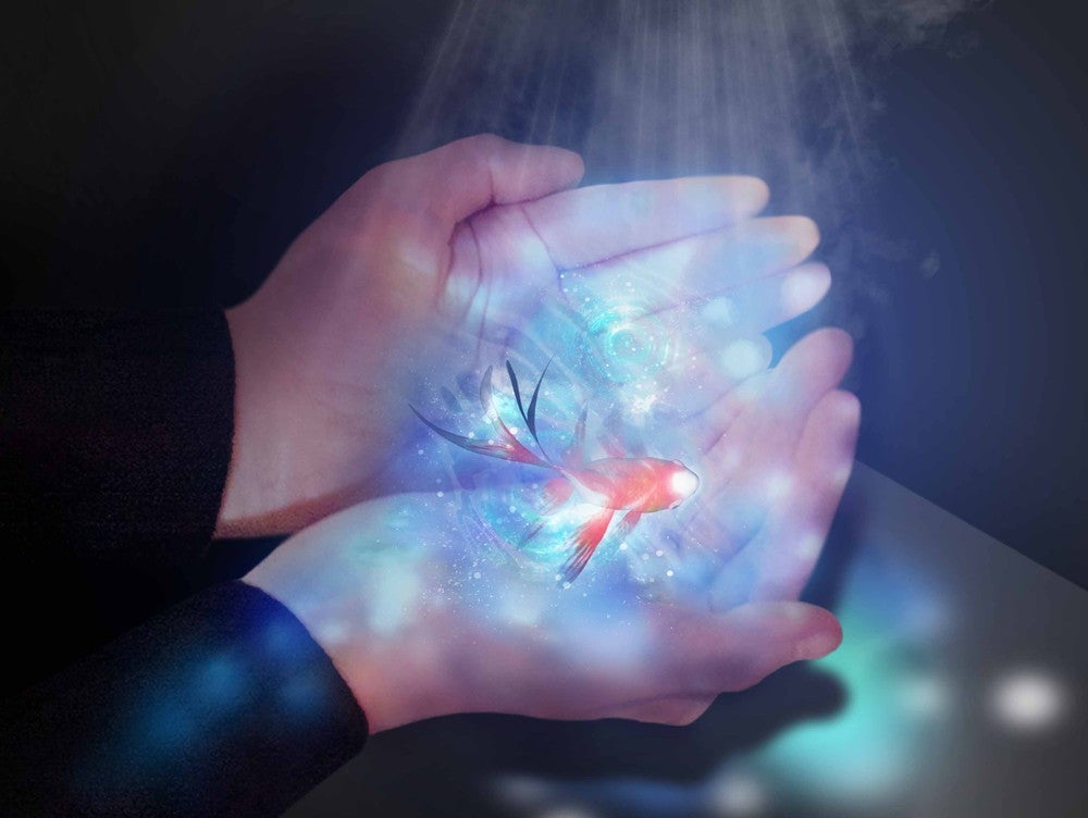 NAKED 花火アクアリウム／画像提供：横浜八景島