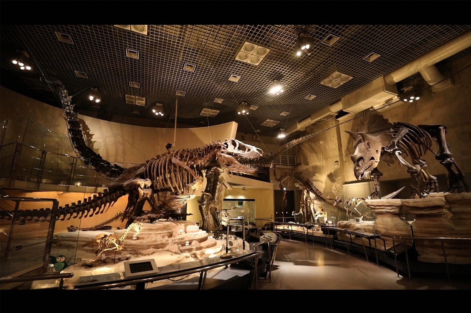 国立科学博物館（C）TBS