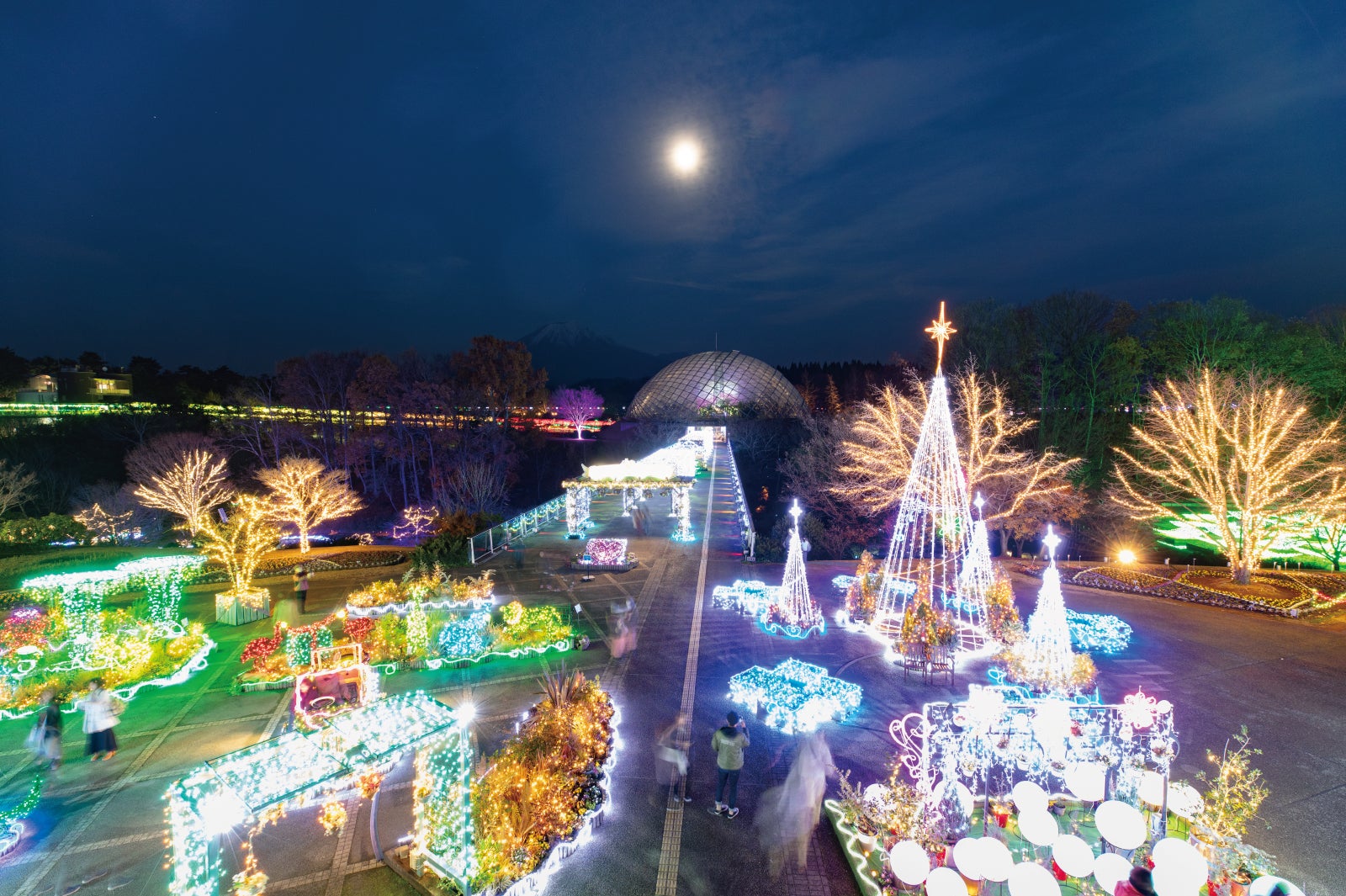 美しくライトアップされた園内はロマンチックでさらにうっとり！(提供画像)