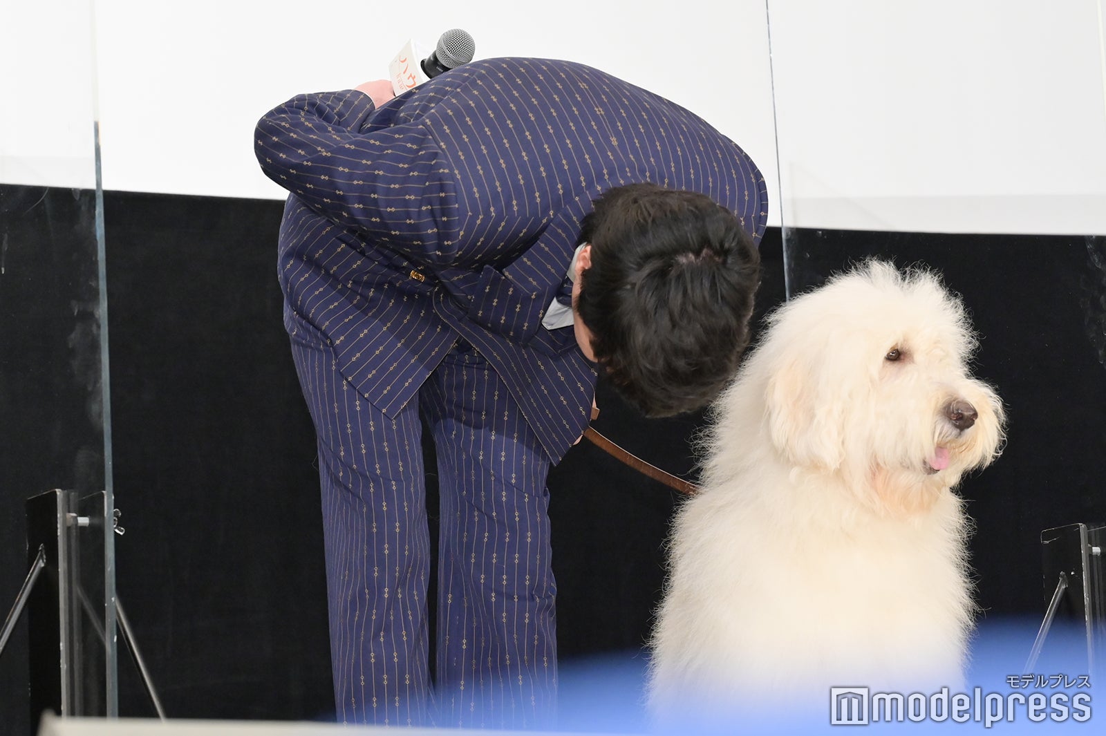 ベックをリードしながら深々とお辞儀をする田中圭（C）モデルプレス