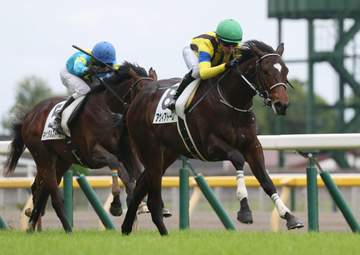 【新馬戦】アヴィアトーレ 後続封じ初星 ゴンサルベス「スタートをうまく切れましたね」