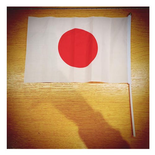 ハリーがライブ中に見つけて「ガンバリマース」と叫んだ日本国旗/当選者Twitterより