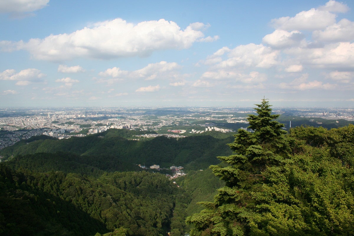 高尾山周辺の眺望（提供画像）