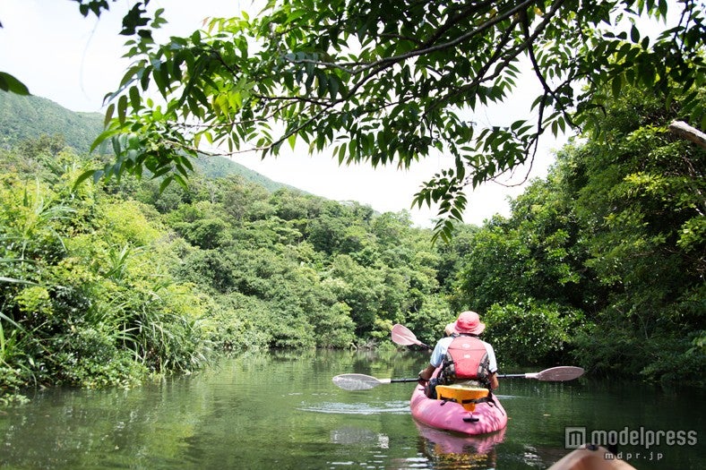 カヤックツアーで八重山諸島、西表島の大自然に触れる