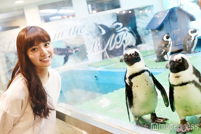 新川優愛(C)モデルプレス