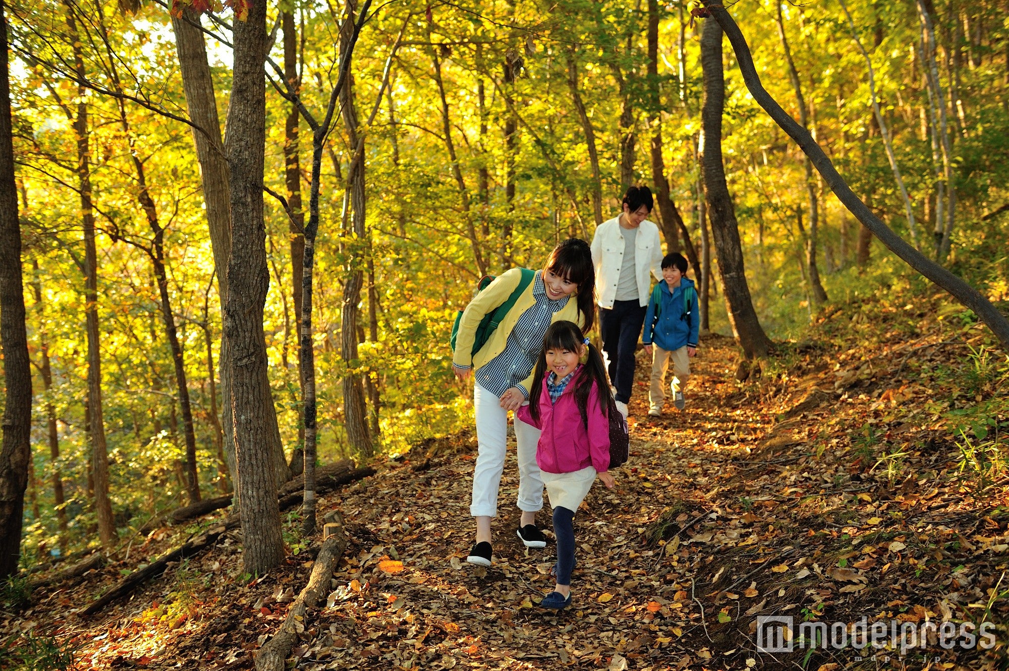 豊かな森の中で楽しむアクティビティ／画像提供：モビリティランド